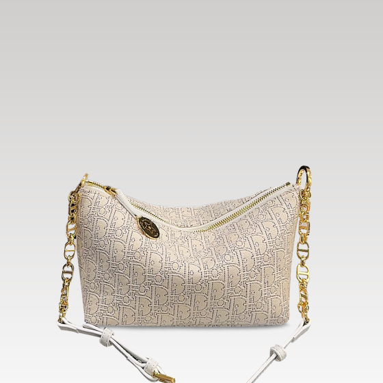 Dior Hobo lunch box underarm bag