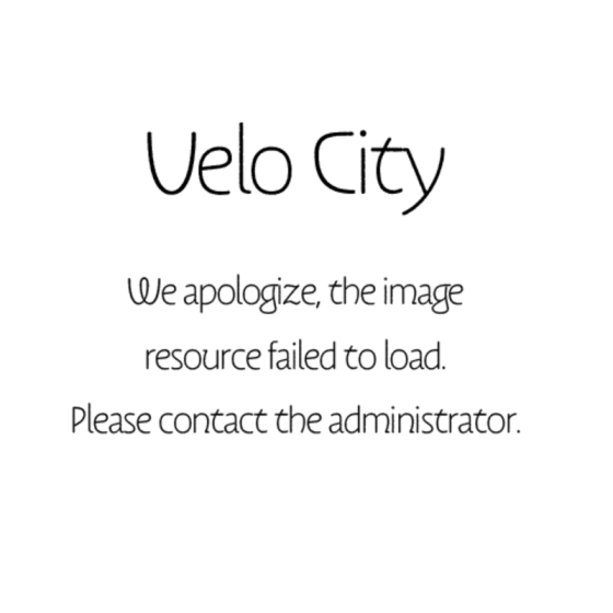 Chanel 25A Suede Double Chain bag